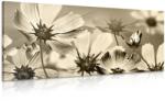 Dovido Tablou flori de grădină în design sepia - 80x40