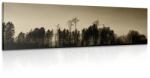 Dovido Tablou pădure în sepia - 135x45