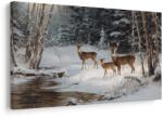 Dovido De Crăciun tablou pădure de iarnă cu cerbi frumoși - 40x30