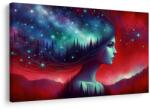 Dovido Tablou femeie cu peisaj stelar - 120x80