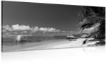 Dovido Tablou plaja din Anse Source alb negru - 80x40
