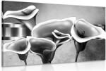 Dovido Tablou flori calla lilly elegante în design alb-negru - 120x80