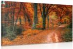 Dovido Tablou pădure în perioada de toamnă - 90x60