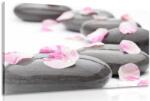 Dovido Tablou petale pe pietre de wellness - 90x60