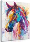 Dovido Tablou calul cu imitația picturii - 60x90