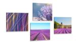 Dovido Set tablouri câmp de lavandă cu abstracție - 4x 40x40