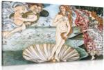 Dovido Tablou reproducere Nașterea lui Venus - Sandro Botticelli - 40x30