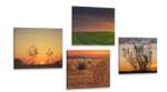 Dovido Set tablouri apus de soare romantic pe luncă - 4x 60x60