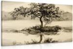 Dovido Tablou cireș oriental în design sepia - 40x30