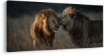 Dovido Tablou armonia regală a leilor - 120x60