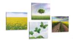Dovido Set tablouri natura orbitoare - 4x 40x40