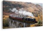 Dovido Tablou tren cu aburi istoric - 40x30
