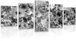 Dovido Tablou 5-piese flori în design alb-negru - 200x100