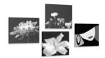 Dovido Set tablouri eleganța femeii și a florilor în design alb-negru - 4x 40x40