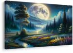Dovido Tablou vale magică în lumina lunii - 30x20