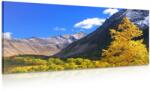 Dovido Tablou natură fenomenală Kamceatka în Rusia - 120x60
