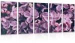 Dovido Tablou 5-piese flori violete de liliac - 150x75