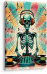 Dovido Tablou DJ schelet colorat - 80x120