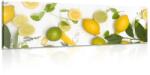Dovido Tablou amestec de fructe citrice - 135x45