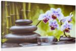 Dovido Tablou spa natura moartă - 120x80