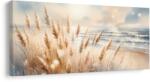 Dovido Tablou iarbă de pampas la mare - 60x30