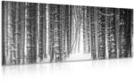 Dovido Tablou pădure învăluită cu zăpadă în design alb-negru - 120x60