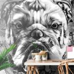 Dovido Tapet buldog în alb-negru - 147x270