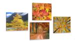 Dovido Set tablouri natura de toamnă în culori frumoase - 4x 60x60