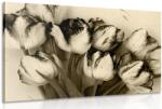 Dovido Tablou lalele de primăvară în design sepia - 40x30
