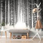 Dovido Fototapet pădure acoperită cu zăpadă în alb-negru - 392x264