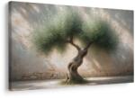 Dovido Tablou măslin pe curte de piatră - 150x100