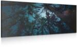 Dovido Tablou pădure sub cerul de noapte - 80x40