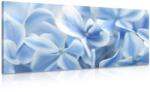 Dovido Tablou flori de hortensie albastru-albe - 80x40