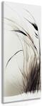 Dovido Tablou fire de iarbă uscată - 40x120