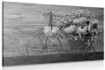 Dovido Tablou flori splendide într-o vază vintage alb-negru - 40x30