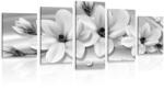 Dovido Tablou 5-piese magnolie de lux cu perle în design alb-negru - 200x100