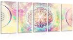 Dovido Tablou 5-piese Mandala în design interesant - 200x100