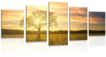 Dovido Tablou 5-piese copacul singuratic - 100x50