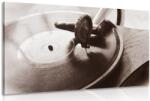 Dovido Tablou gramofon antic - 120x80