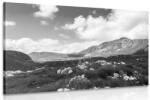 Dovido Tablou vale în Muntenegru alb-negru - 40x30