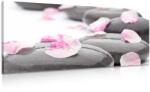 Dovido Tablou pietre de wellness cu petale - 100x50