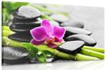 Dovido Tablou natura moartă Spa cu orhidee violetă - 90x60