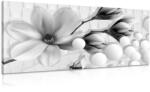 Dovido Tablou magnolie cu elemente abstracte alb-negru - 120x60