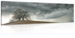 Dovido Tablou copaci singuratici - 120x40