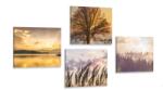 Dovido Set tablouri frumusețile naturale - 4x 40x40 - dovido - 250,93 RON