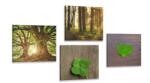 Dovido Set tablouri briza naturii - 4x 60x60