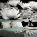 Dovido Fototapet floare de lotus în alb-negru - 245x270