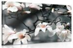 Dovido Tablou magnolia trezindu-se la viață - 30x20
