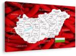 Dovido Tablou hartă a Ungariei cu fundal specific - 30x20
