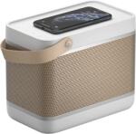 Bang & Olufsen Beolit 20 Grey Mist (1253303)
